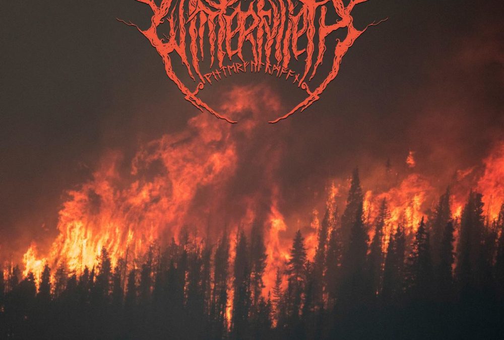 WINTERFYLLETH