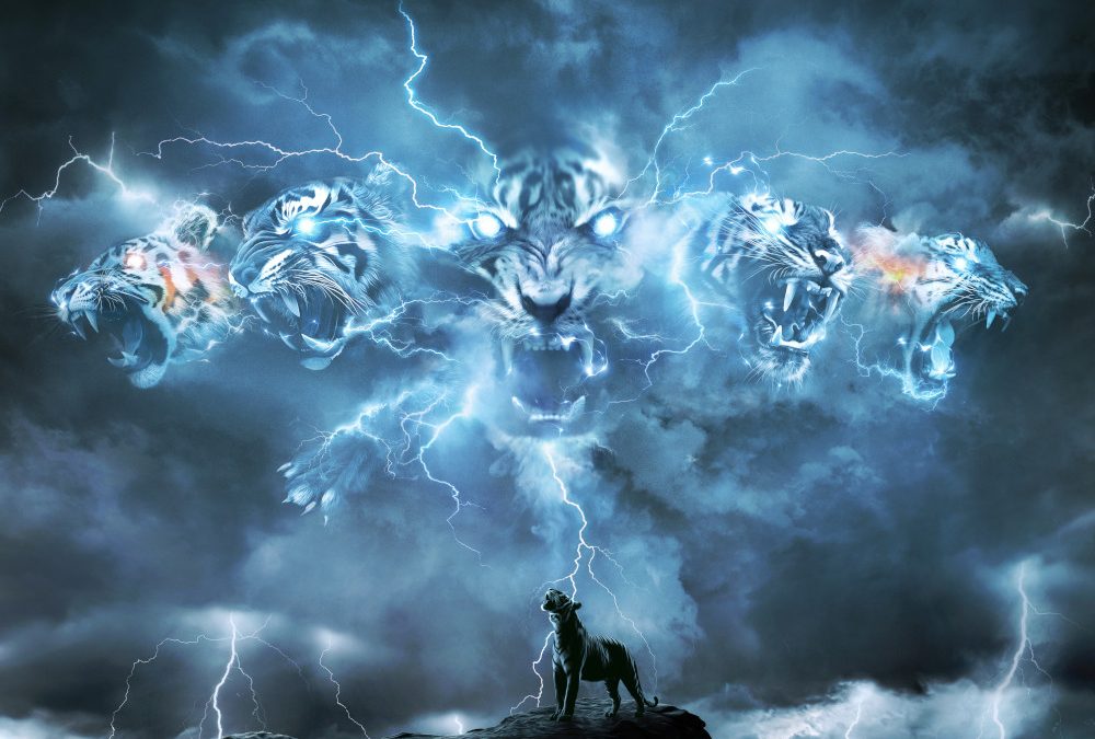 TYGERS OF PAN TANG