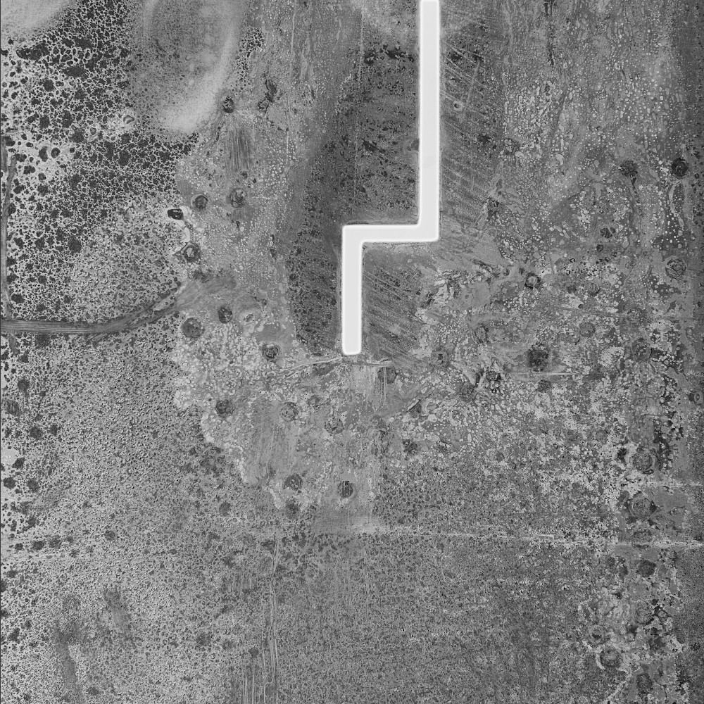 TORII
