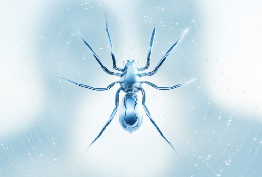 ZETRA