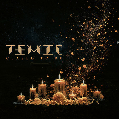 TEMIC